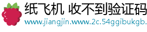 纸飞机 收不到验证码